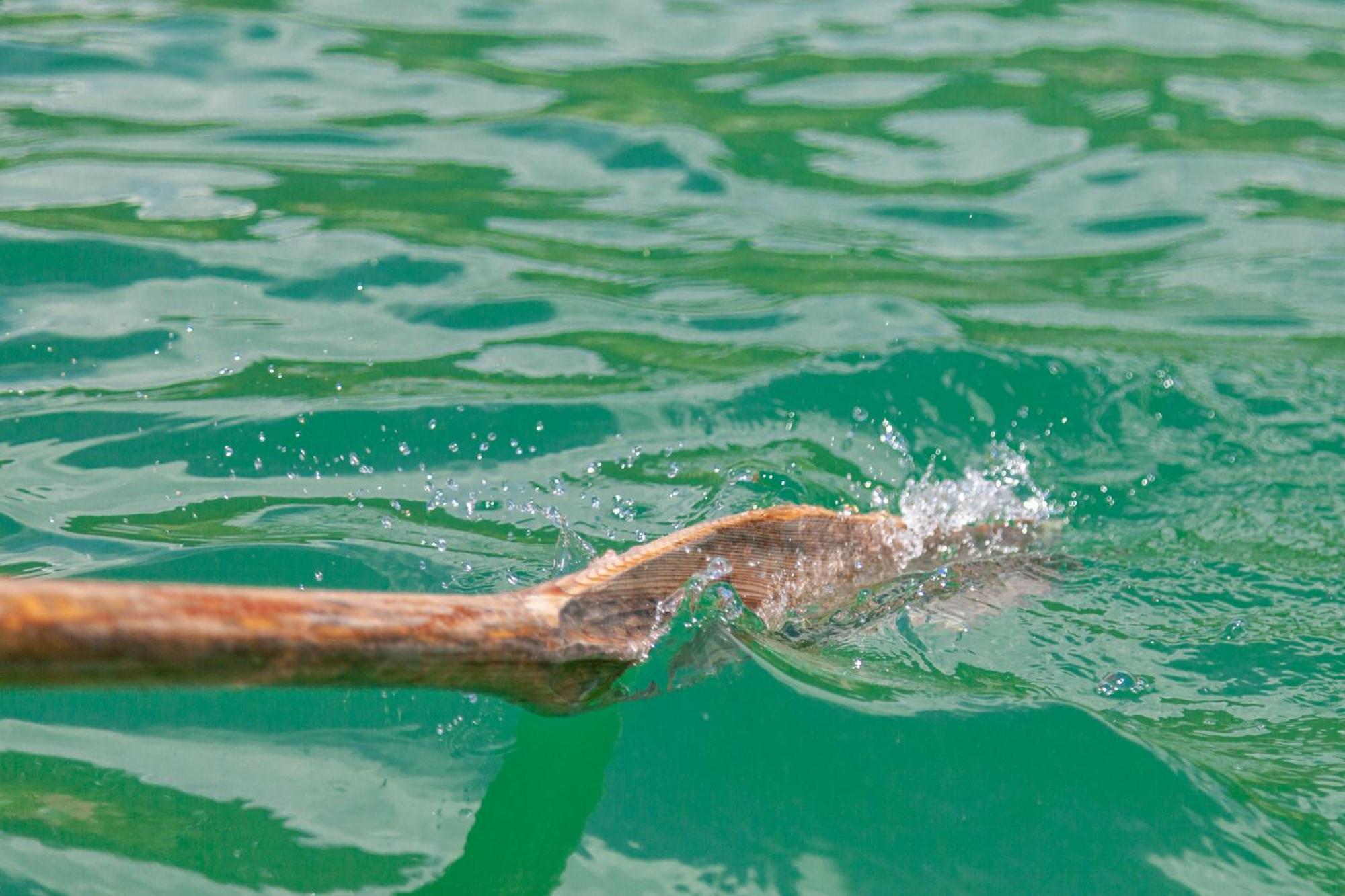 Seehaus Winkler Weissensee Bagian luar foto